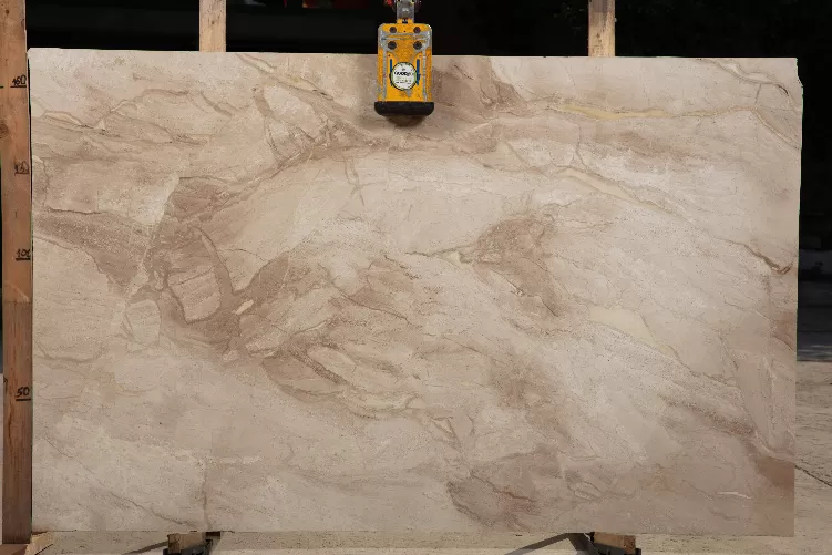 Breccia Sarda - Scorpion